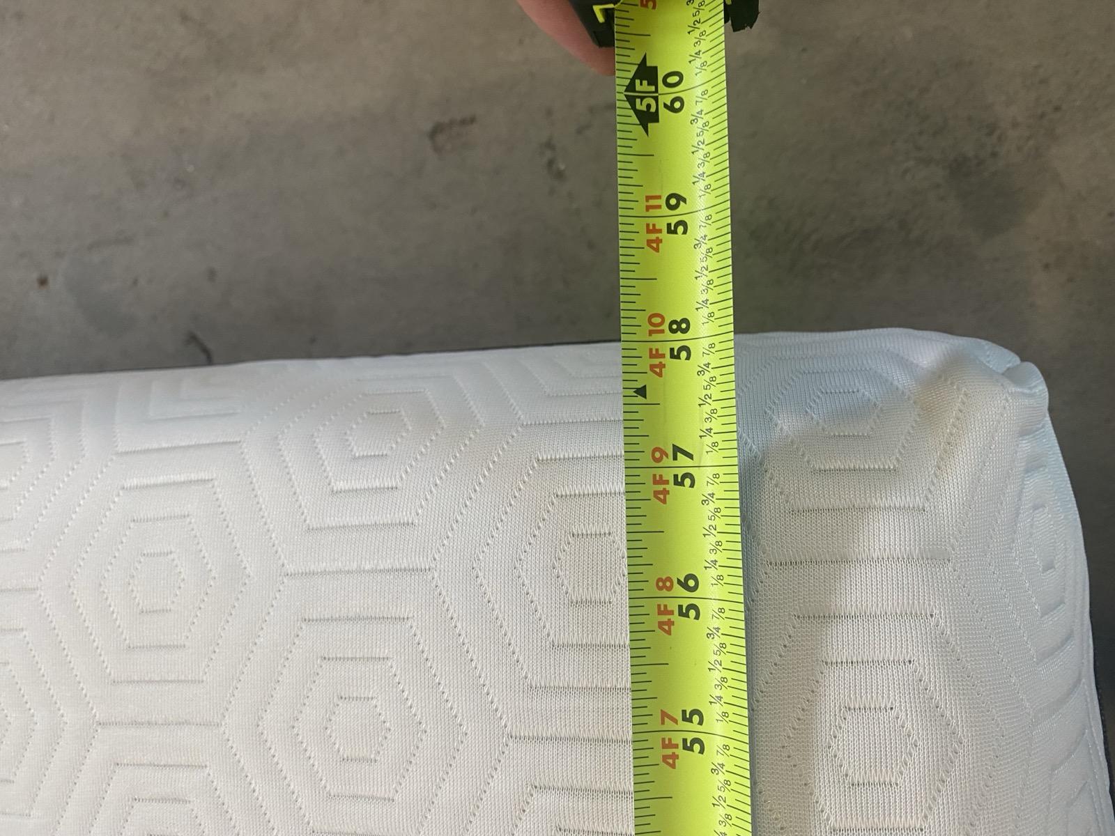 Bear Original width measurement showing 58 inches